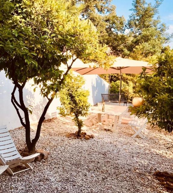 كافالير سور مير Villa Hirondelles 35 المظهر الخارجي الصورة